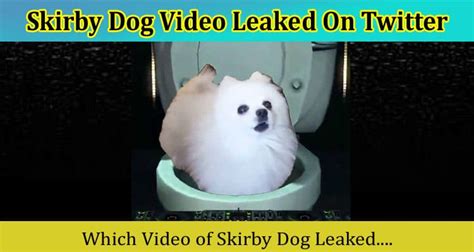 Skirby Dog Video Full on Reddit, Twitter, and Tiktok